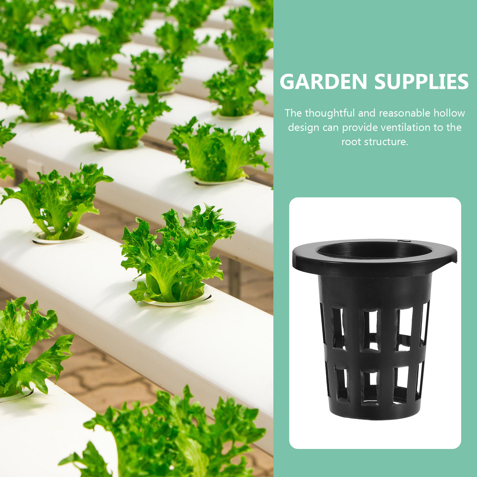 50 قطعة من سلال الزراعة البلاس - مراجعة Gardening Tools Vegetables وسعره