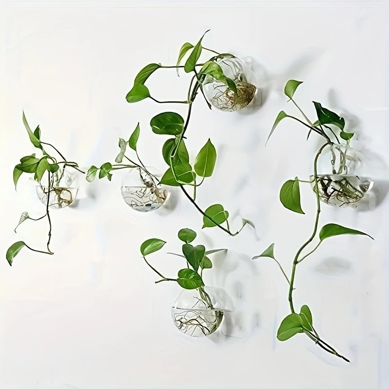 2/4/6 قطع من التيراريوم الزجاج - مراجعة Self-Watering Planter وسعره