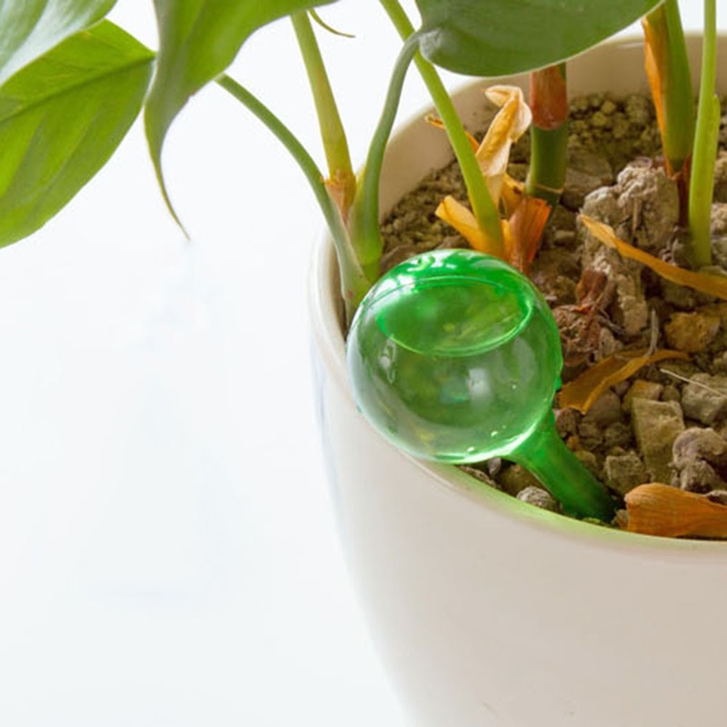 التلقائي تغذية المياه النباتية - مراجعة Automatic Plant Waterer وسعره