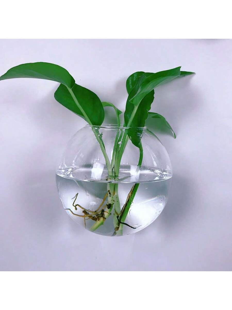 حزمة من 2/4/6 قطع من أحواض الز - مراجعة Self-Watering Planter وسعره