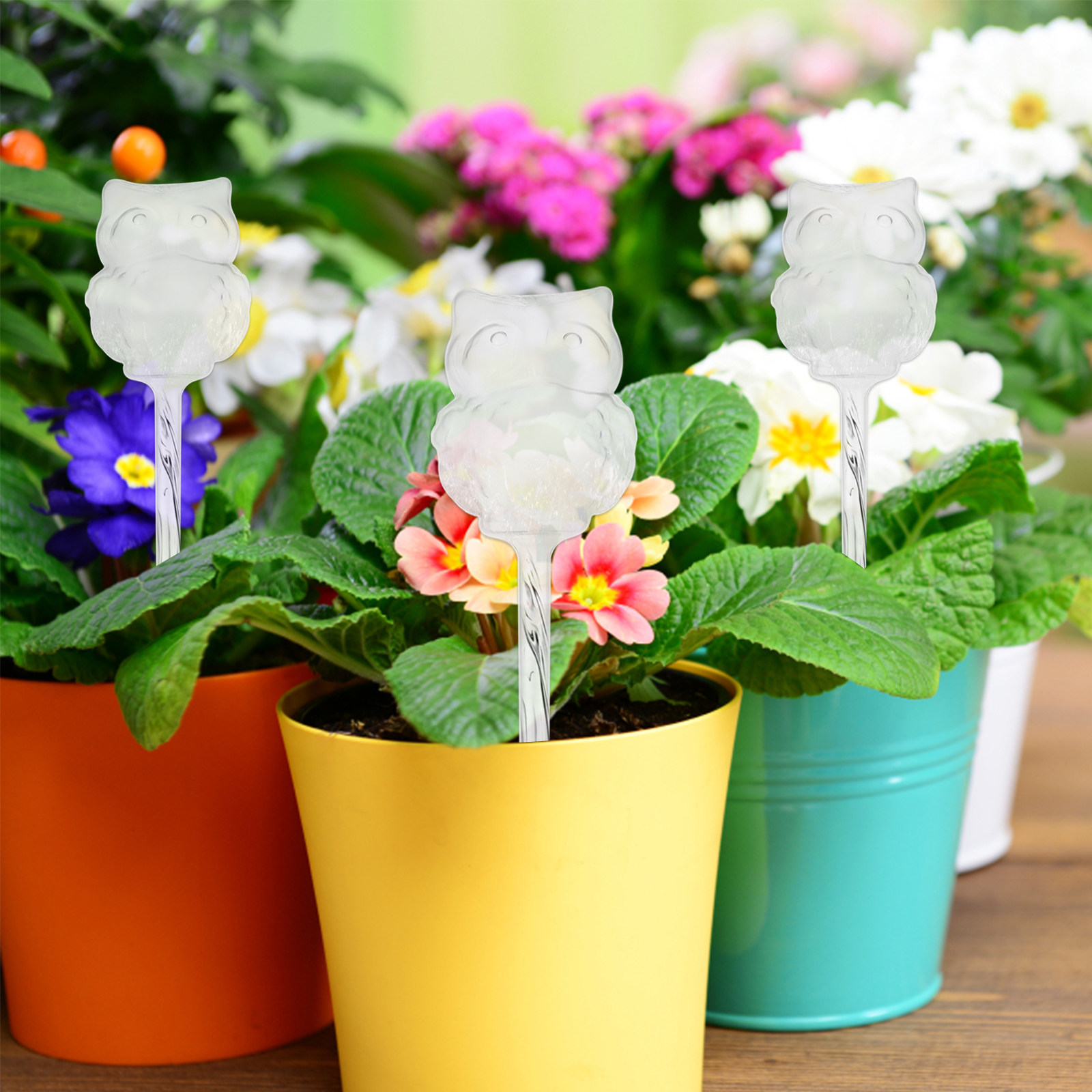 4 قطع من أجهزة الري الأوتوماتي - مراجعة Automatic Plant Waterer وسعره