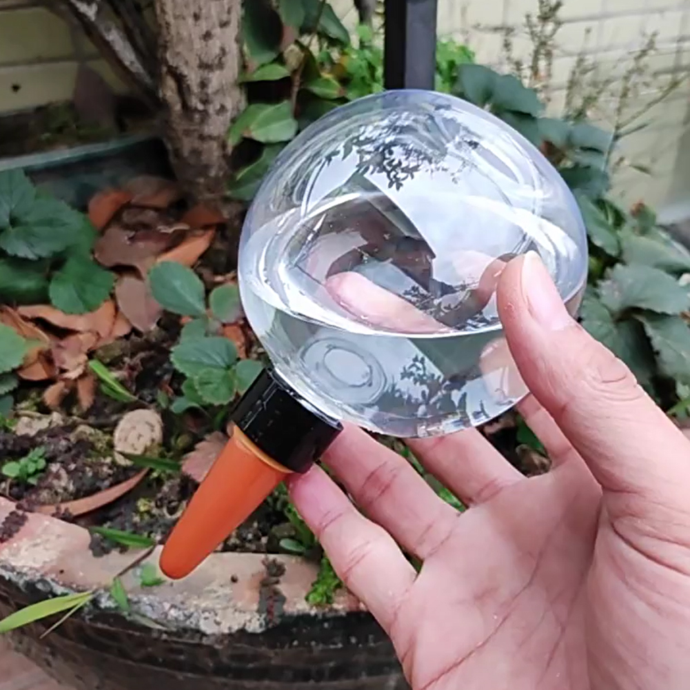 كرات ري ذاتية سعة 500 مل، نظام - مراجعة Self-Watering Planter وسعره